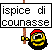 ispice di connase